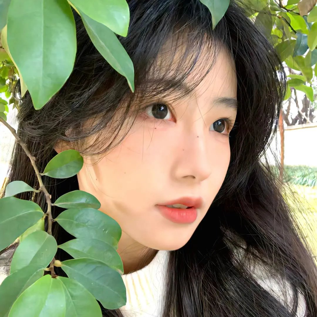 我的青春路过你的锦年