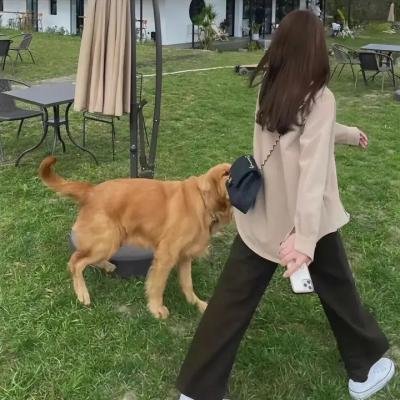 强迫男的一天